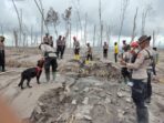 Optimalkan pencarian jenasah erupsi semeru polri terjunkan K-9