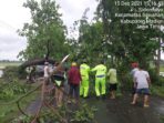 Kesigapan Ipda Mei Budianto Sebagai Pawas Piket Dalam Bantu Evakuasi Pohon Tumbang