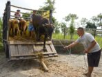 Terima 1000 Ekor Sapi, Mas Dhito Dorong Peternak Bisa Diversifikasi Produk