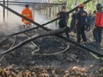 Kandang Ayam Petelur di Blitar Terbakar, Belasan Ribu Ayam Terpanggang Pemilik Rugi Ratusan Juta