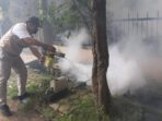 Penderita DBD di Sidoarjo Meningkat, BHS Peduli Gercep Lakukan Fogging 