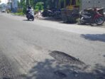 Baru 2 Pekan Diaspal, Proyek Jalan Rp. 17 Milyar Sudah Rusak