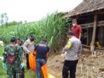 Jasad Membusuk Ditemukan di Ladang Tebu Bikin Geger Warga