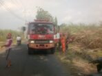 Berkat Kesigapan  Petugas Pemadam Kebakaran Kediri Kebakaran Tebu Dapat Dicegah di Ngasem Kabupaten Kediri