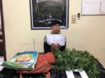 Polres Merangin Ringkus Penjual Ganja Di Kecaman Lembah Masurai,