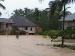 Banjir Melanda Desa Pulau Pandan