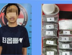 Polres Tanjung Perak Amankan Pengedar Ganja Kering Asal Dukuh Kupang.