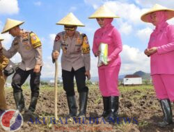 Kapolres Trenggalek Tanam Jagung Perdana: Dukung Program Ketahanan Pangan