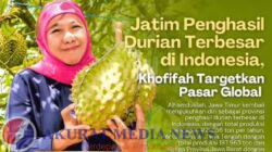 Jatim Berhasil Durian Terbesar, Khofifah Pastikan Siap Bersaing di Pasar Internasional