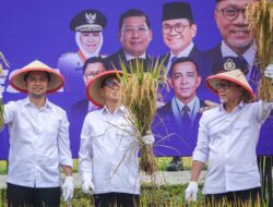 Panen Raya Bersama Menko Pangan, Wagub Emil Swasembada Pangan Harus Selaras Peningkatan Kesejahteraan Petani