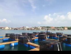 Balad Group Mulai Proses Pemindahan Keramba ke-4 ke Teluk ke-4