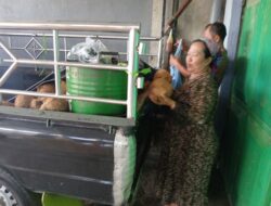 Harga Kelapa Parut Stabil, Emak-Emak Lega Usai Kehebohan