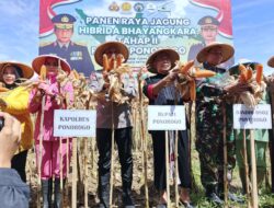Polres Ponorogo Kembali Panen Raya Jagung Hibrida Tahap Kedua Sukses