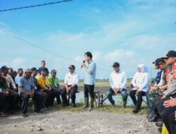 Wapres Gibran Berkunjung ke Ngawi, Ikut Tanam Padi di Sawah