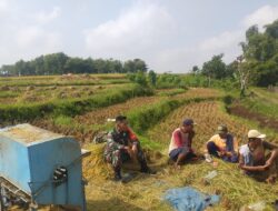 Babinsa Kodim 0802/Ponorogo Meningkatkan Ketahanan Pangan Melalui Komunikasi Sosial Sergab