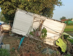 Sopir Diduga Terlelap, Truk Box Jombang Tabrak Karambol Lalu Terperosok