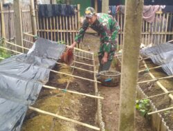 Babinsa Banjarejo Olah Limbah Jadi Berkah Lewat Budidaya Cacing