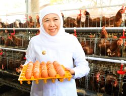 Gubernur Khofifah Siap Replikasi Integrated Farming Untuk Wujudkan Kedaulatan Pangan