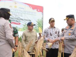 Forkopimda Tuban Ikuti Panen Jagung Serentak Bersama Presiden Prabowo