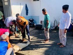 Lapas Wonogiri Potong 9 Hewan Kurban untuk Berbagi