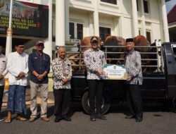 Tahun ini Pemkab Tuban Salurkan 42 Hewan Kurban