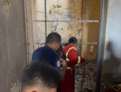 Damkar Tuban Setor 76 Ekor Ular ke BBKSDA Jatim