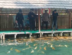 Sempat Dibawa ke Rumah Warga, Granat di Wisata Pelang Akhirnya Dievakuasi Tim Gegana