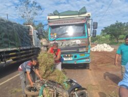 Diseruduk Truk, Kakek Pencari Rumput Terluka Parah