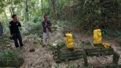 Dua Situs Bersejarah di Ngariboyo Belum Tersentuh Pengelolaan, Pemdes Dorong Penetapan Cagar Budaya