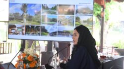 Novita Hardini Soroti Ego Sektoral Pariwisata, Dorong Sinergi Kemenpar dan Daerah Perkuat Destinasi Wisata Nasional