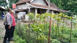 Bhabinkamtibmas Desa Carangrejo Dukung Program Swasembada Pangan Melalui Pendampingan Warga
