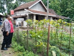 Bhabinkamtibmas Desa Carangrejo Dukung Program Swasembada Pangan Melalui Pendampingan Warga